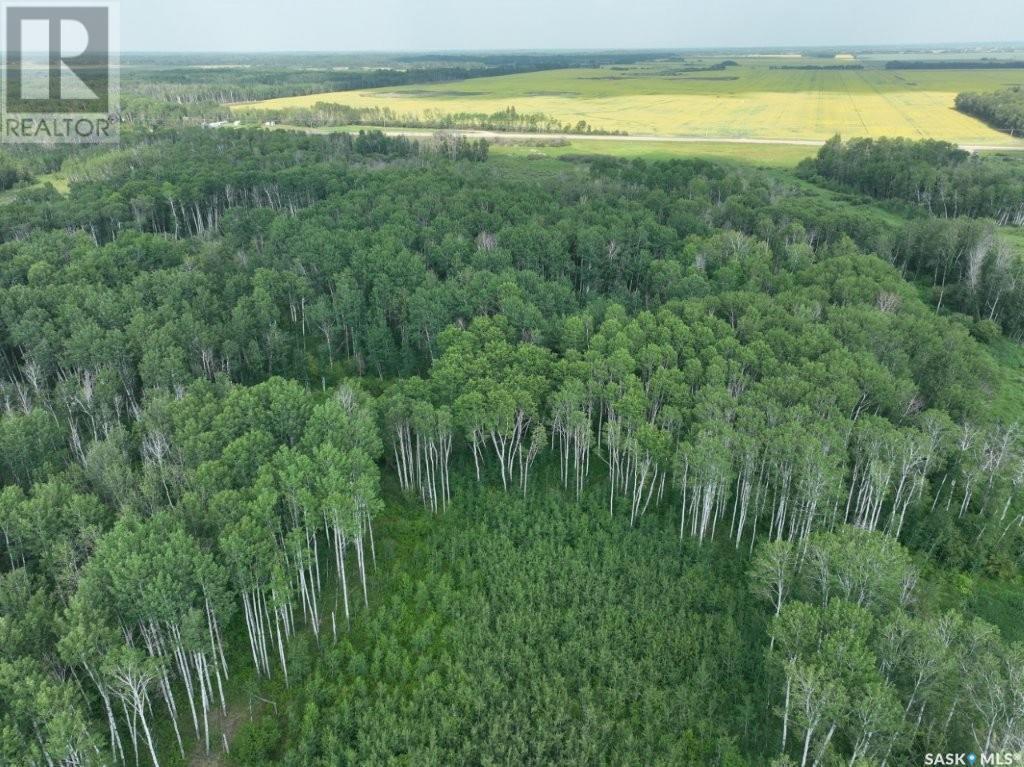 76 acre Hunters Retreat land — photo 9