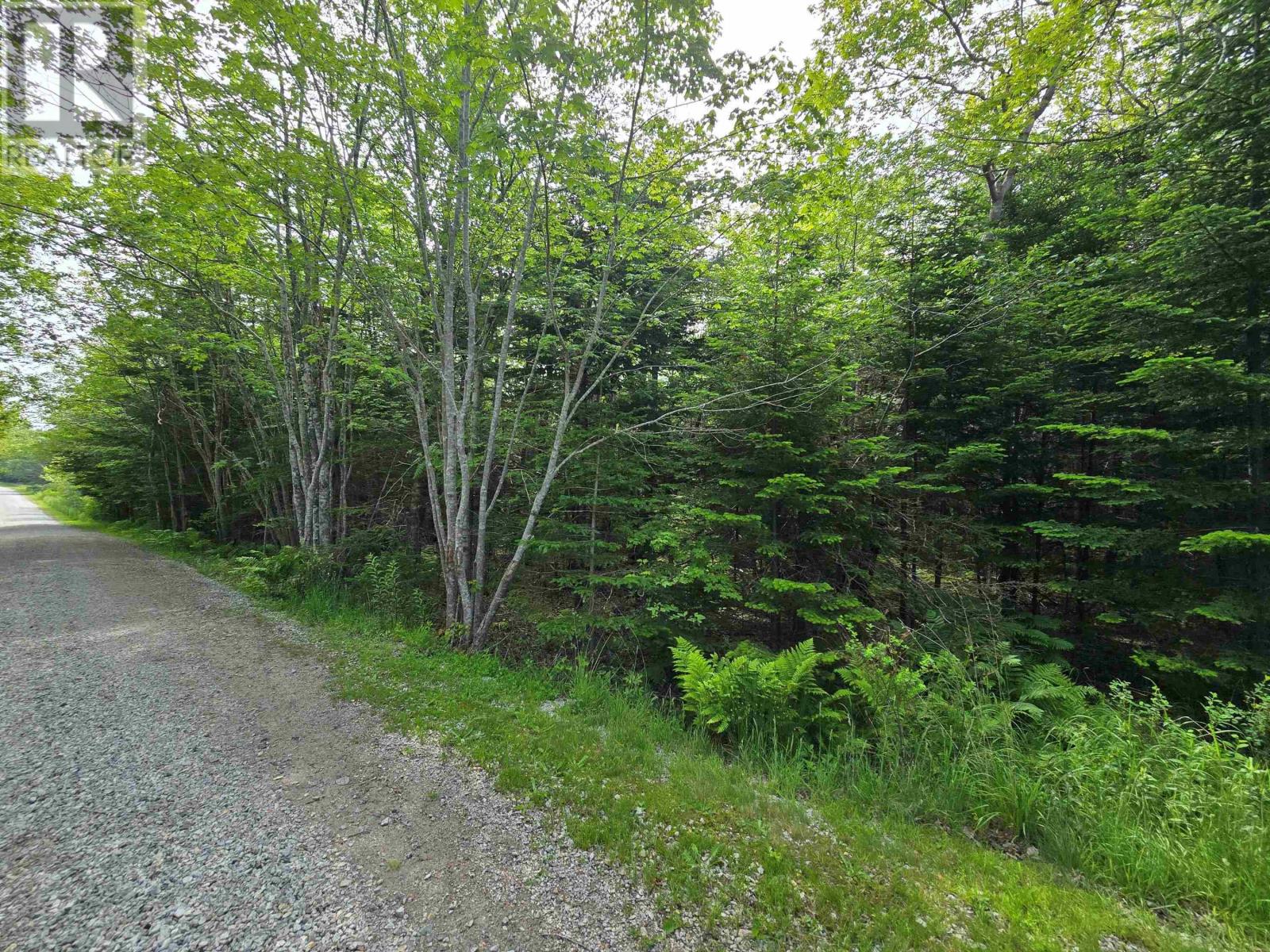Property 3 of 19 of Lot Main Shore Road