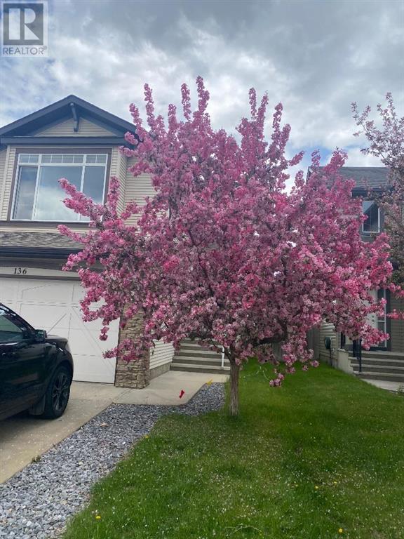 Single Family House for Sale in  New Brighton Drive SE New Brighton Calgary 