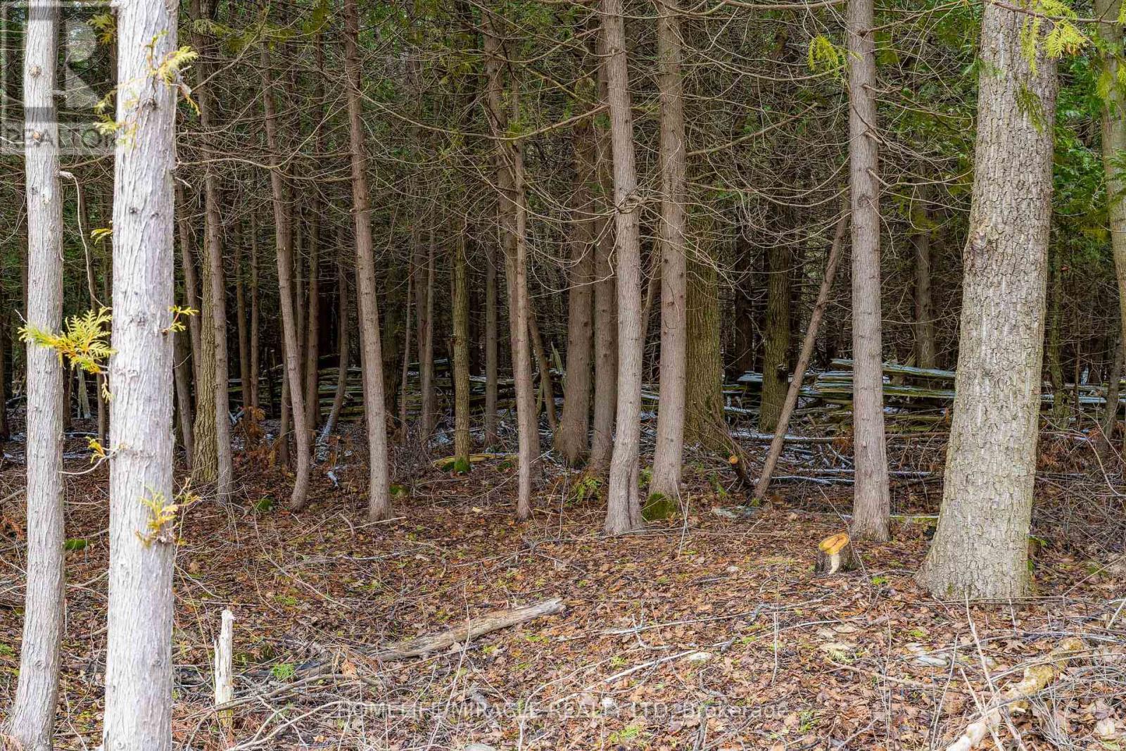 Photo 20 of 2506 Concession 10 N Nottawasaga Road, Collingwood ON