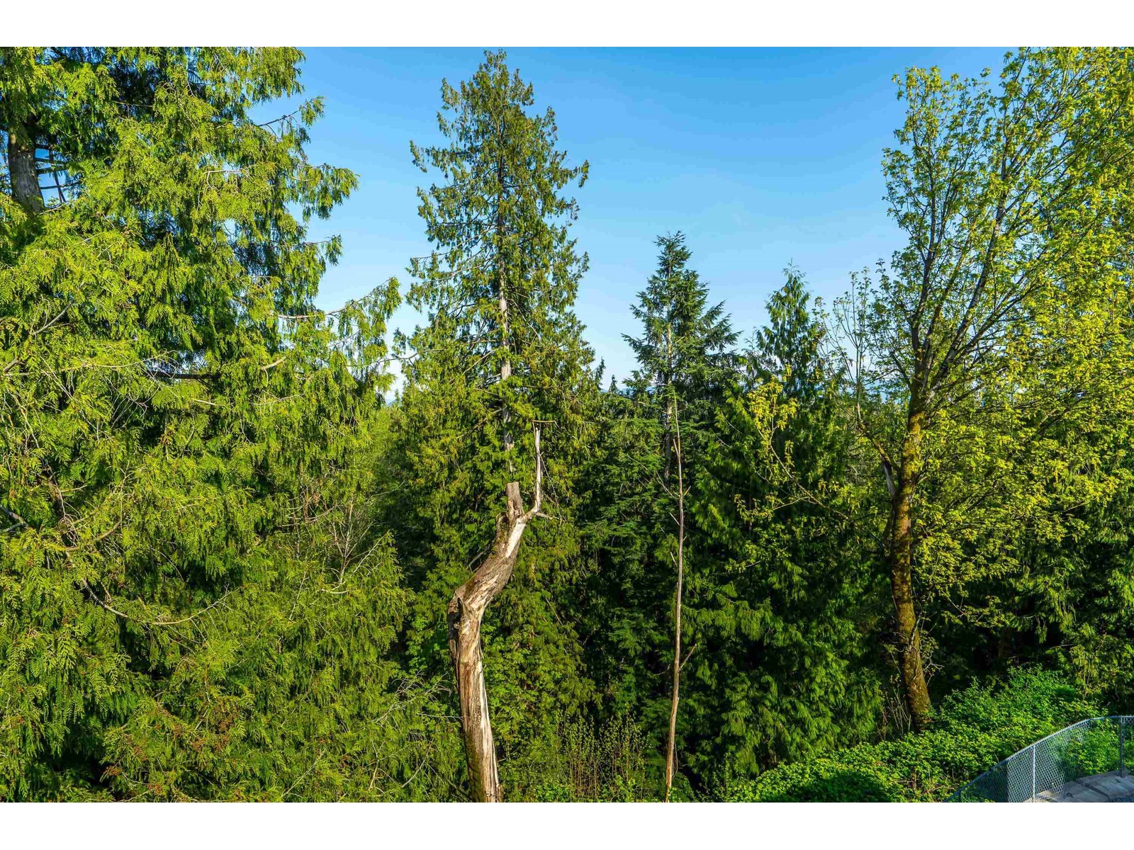Photo 26 of 24 3380 Gladwin Road, Abbotsford BC