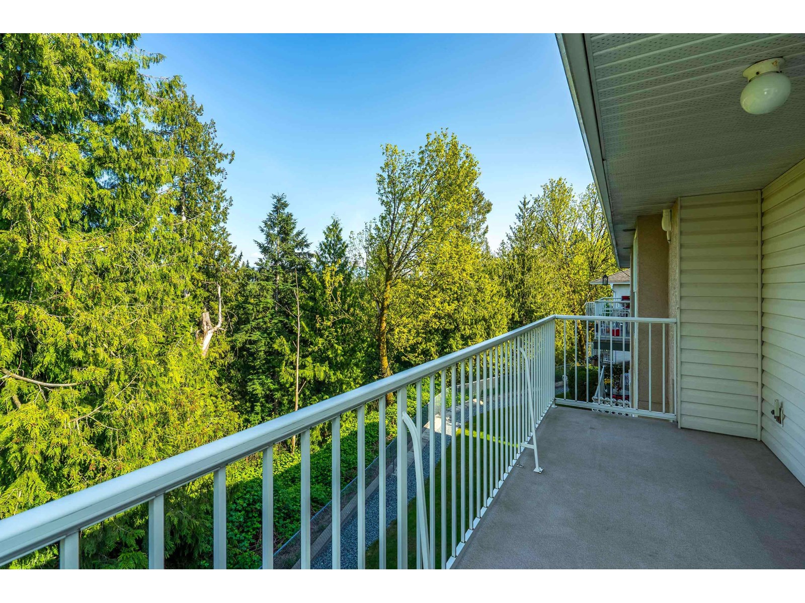 Photo 25 of 24 3380 Gladwin Road, Abbotsford BC