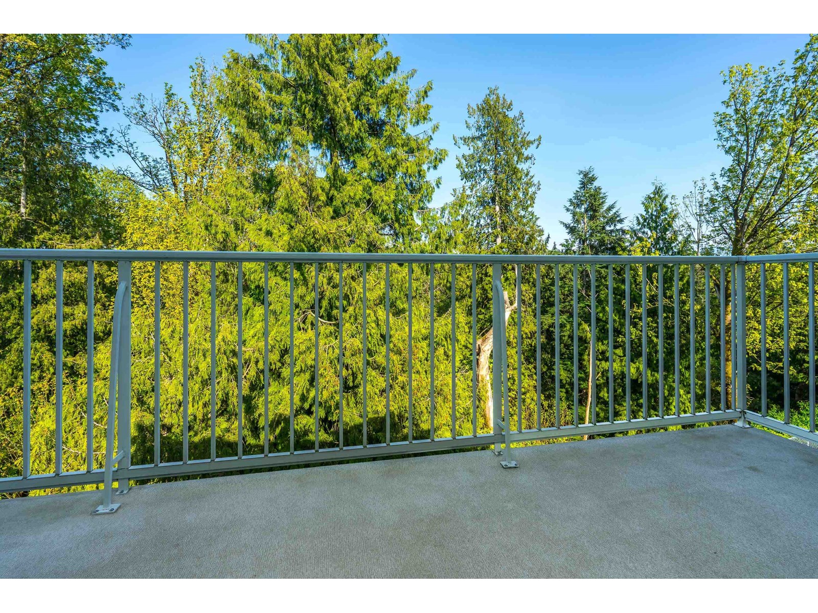 Photo 24 of 24 3380 Gladwin Road, Abbotsford BC