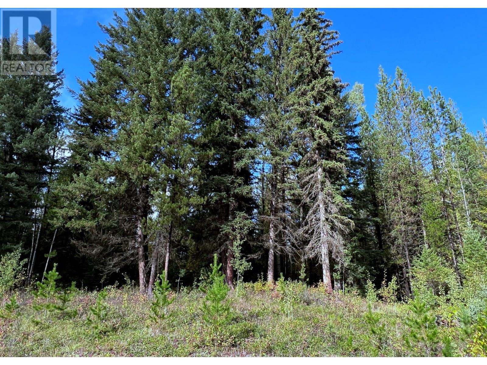 3165 NIQUIDET STREET, Horsefly