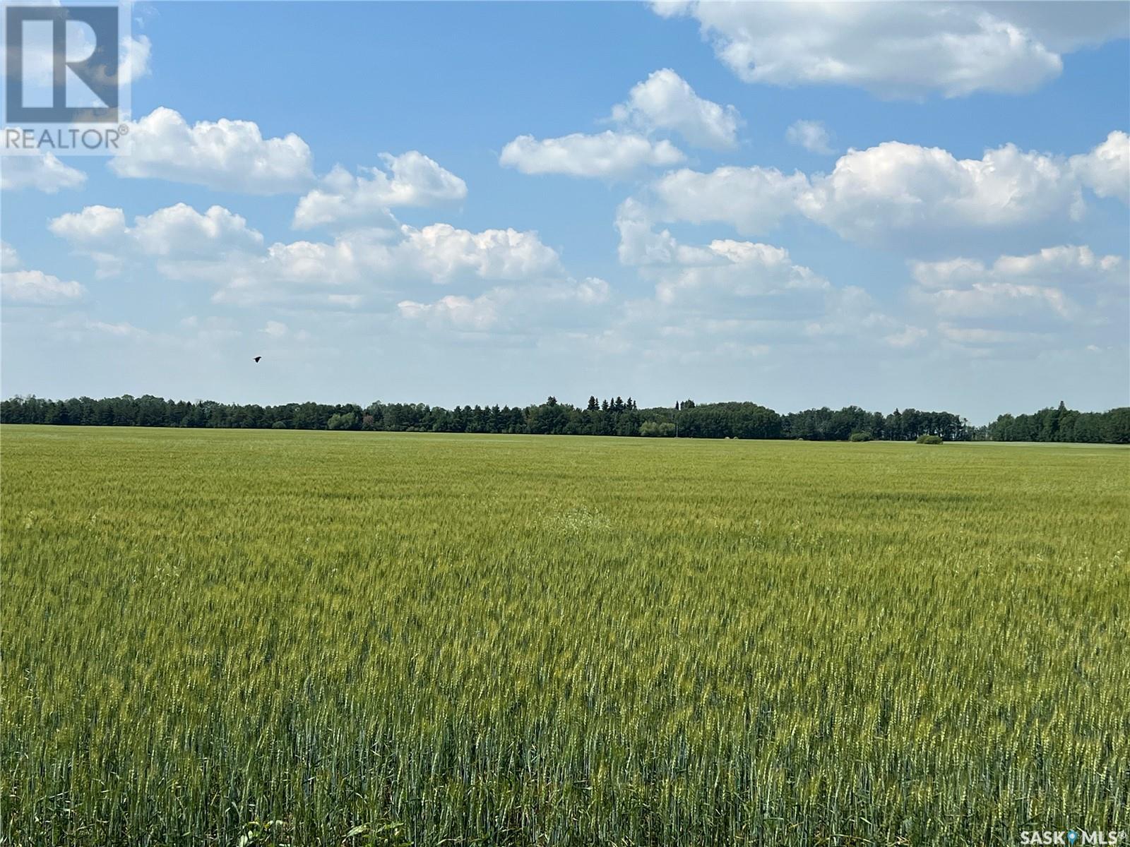 Photo 45 of 13 Km East Of Meadow Lake, Meadow Lake Rm No 588 SK