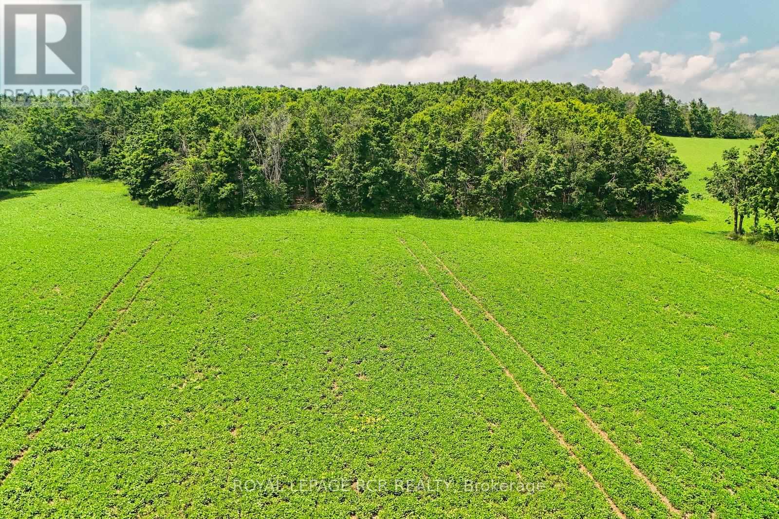 Photo 17 of 716450 1st Line E, Mulmur ON