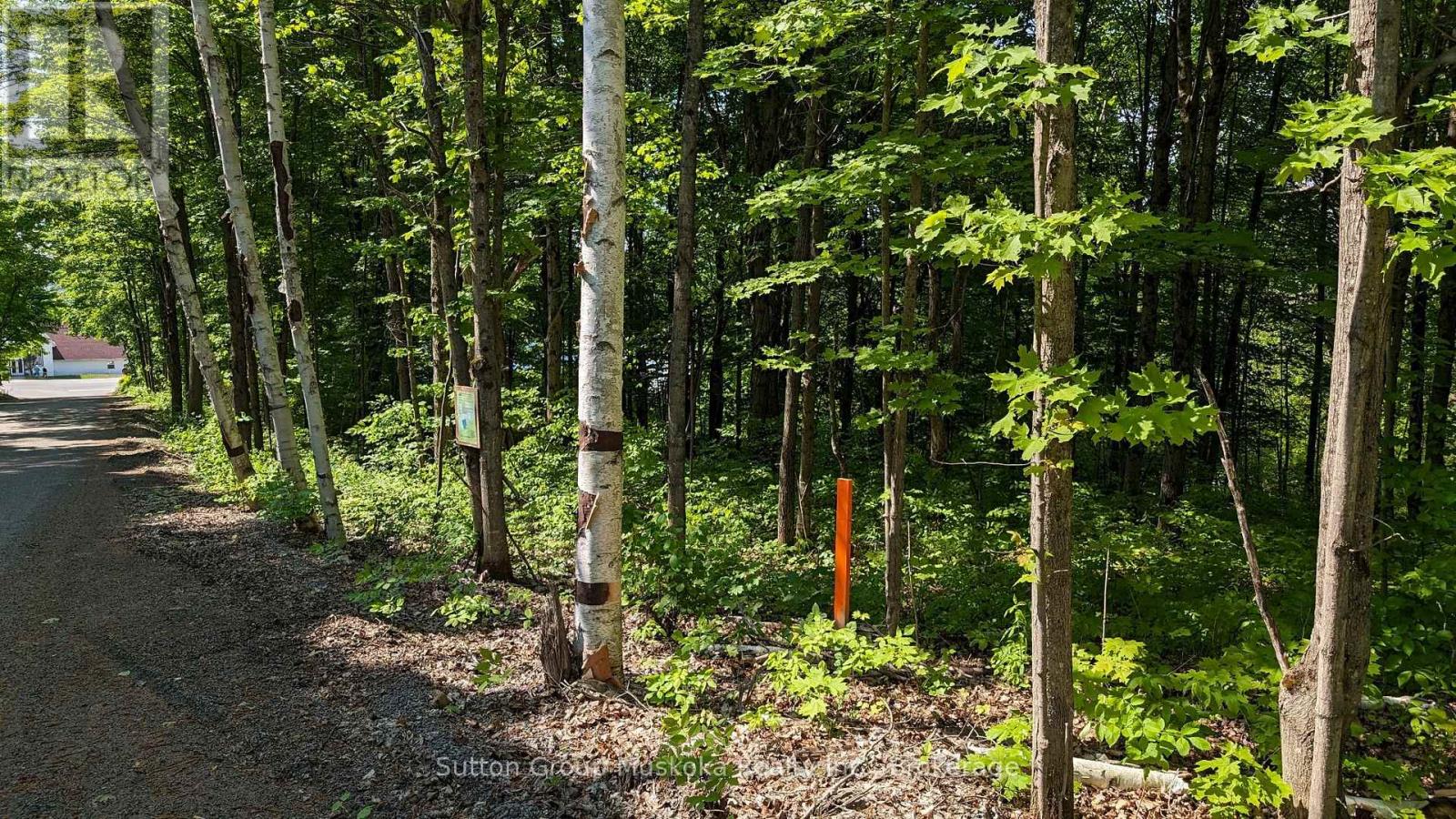 Photo 7 of Lot 2 Tally Ho Winter Park Road, Lake Of Bays ON