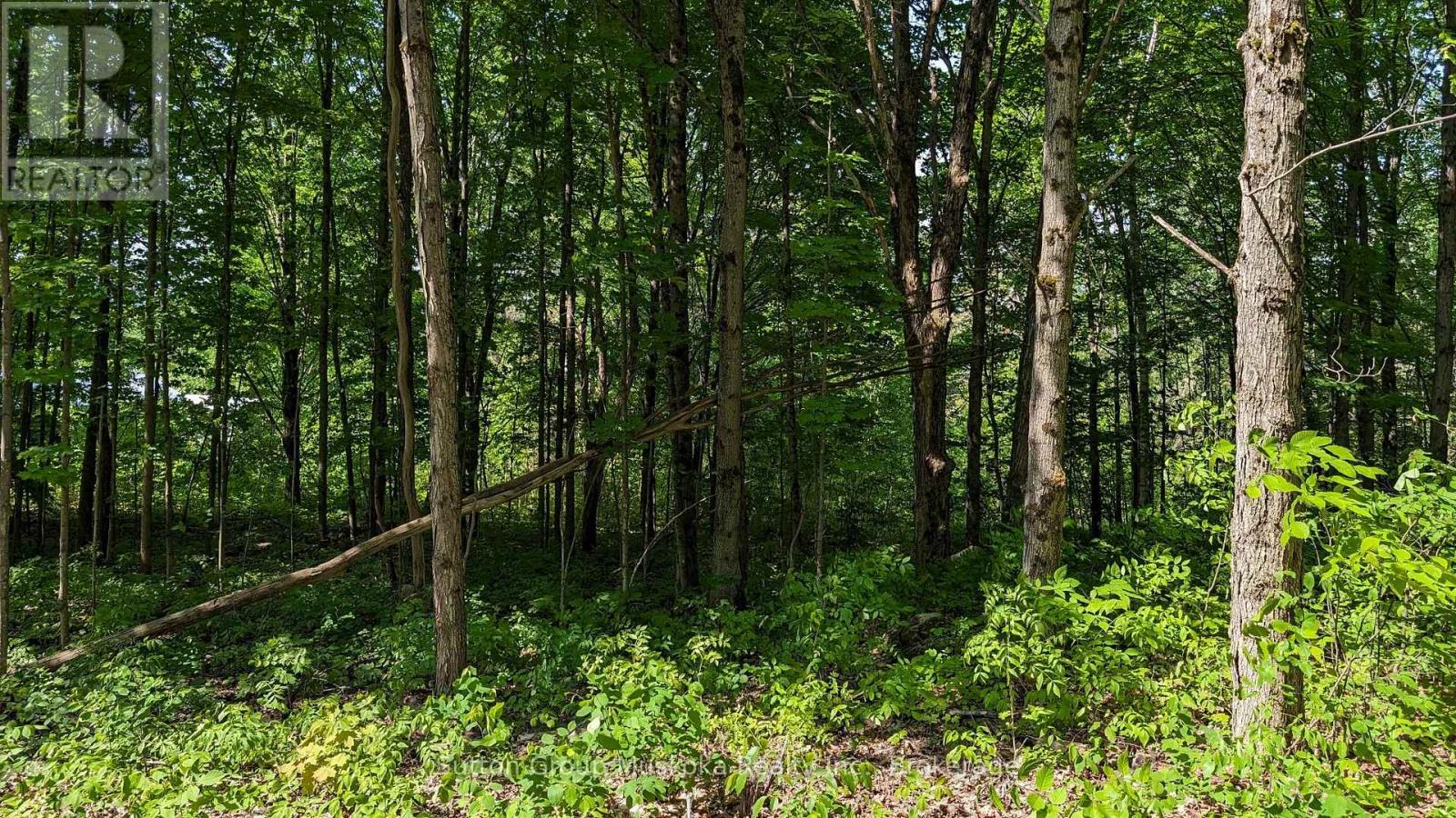 Photo 6 of Lot 2 Tally Ho Winter Park Road, Lake Of Bays ON