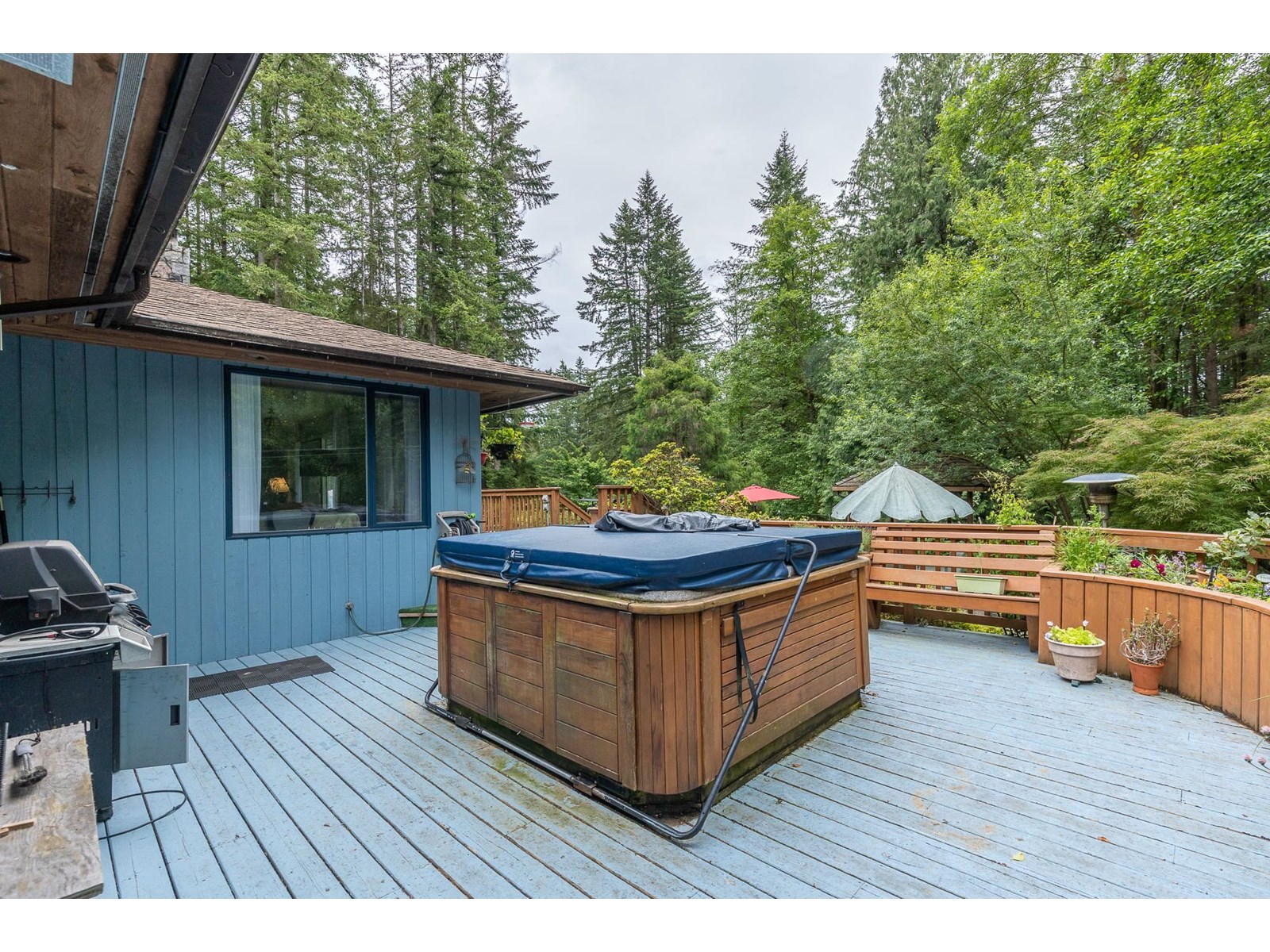 Photo 24 of 20244 27 Avenue, Langley BC