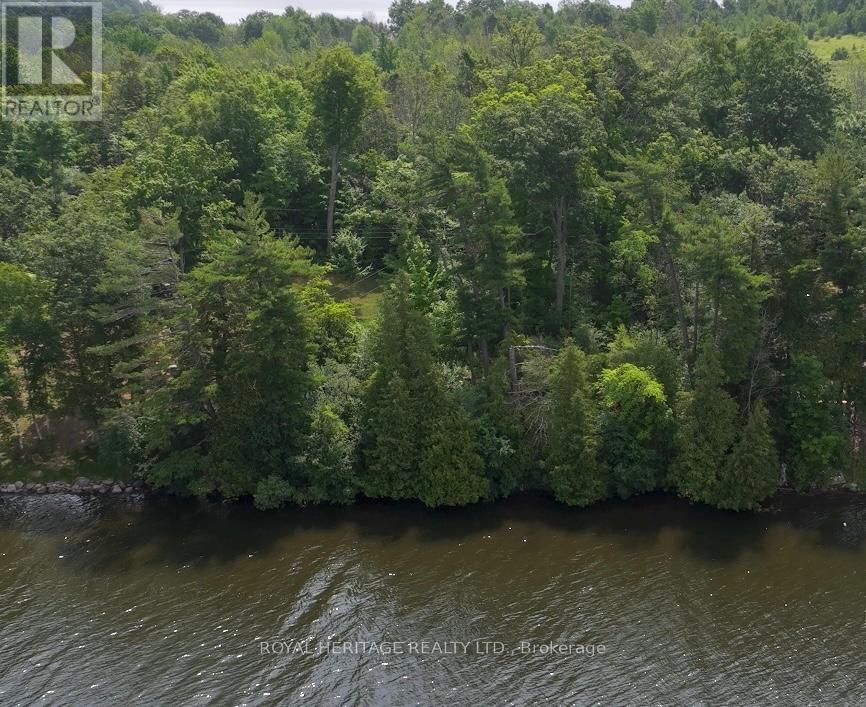 Photo 8 of 26 Cow Island, Otonabeesouth Monaghan ON