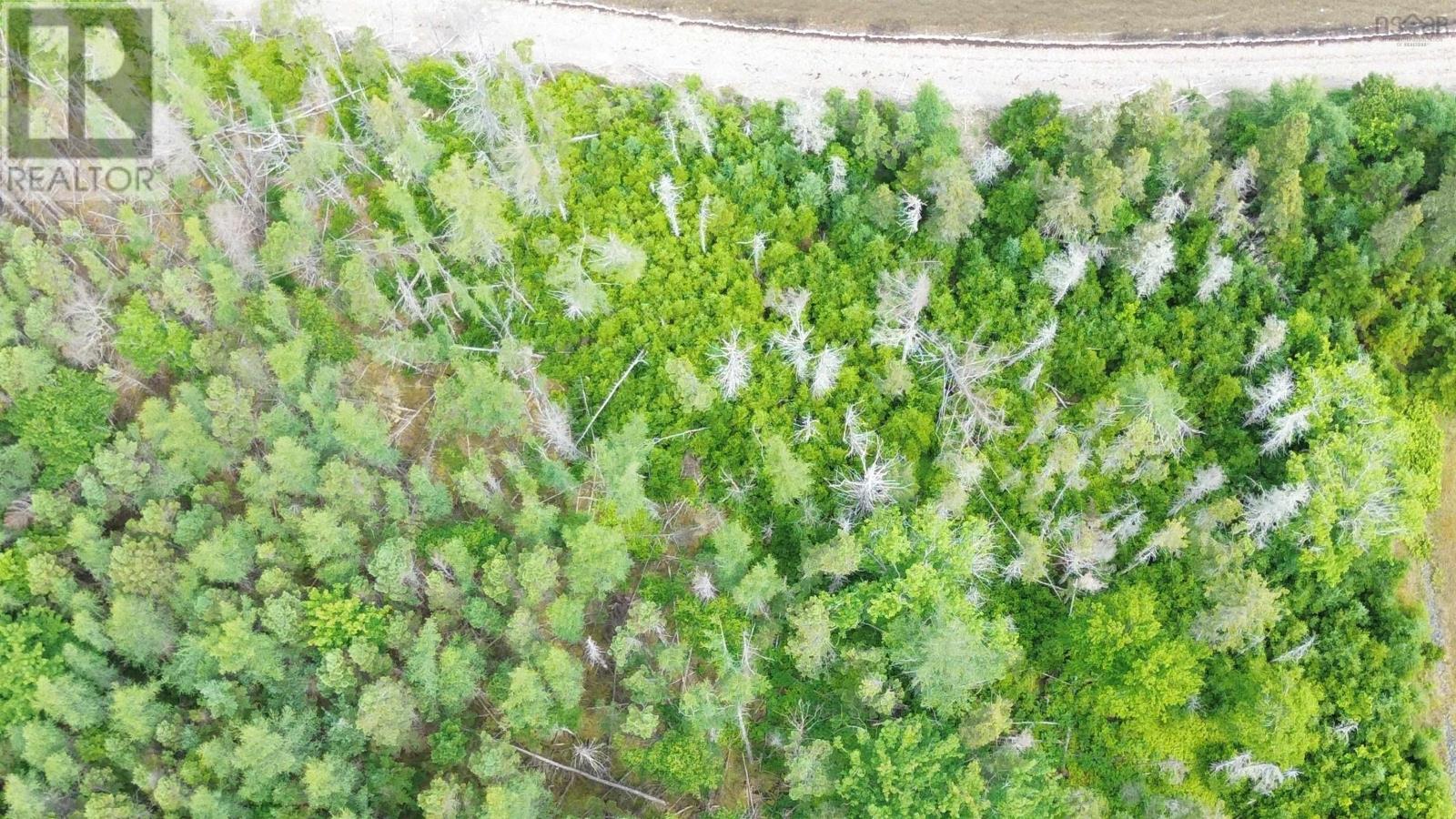 Property 15 of 17 of Lot 43 Maple Drive