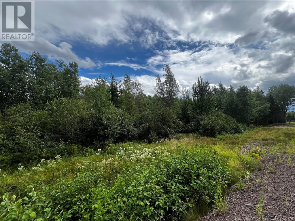 Photo 1 of 21 11 Hidden Pines Court, Moncton NB