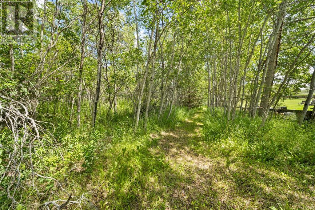 Photo 7 of 125 36246 Range Road 251, Rural Red Deer County AB