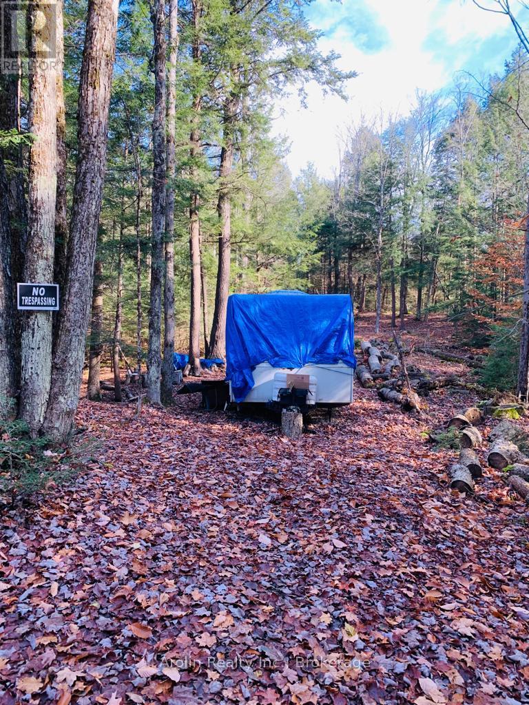 9 WOODS BAY ROAD - Photo 5 of 17, North Kawartha, Ontario