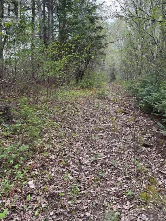 Photo 2 of 14 Acres Islandview Drive, Miramichi NB