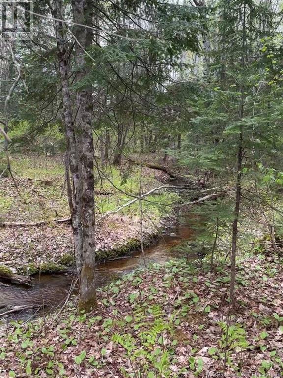 Photo 3 of 14 Acres Islandview Drive, Miramichi NB