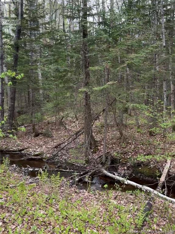 Photo 4 of 14 Acres Islandview Drive, Miramichi NB