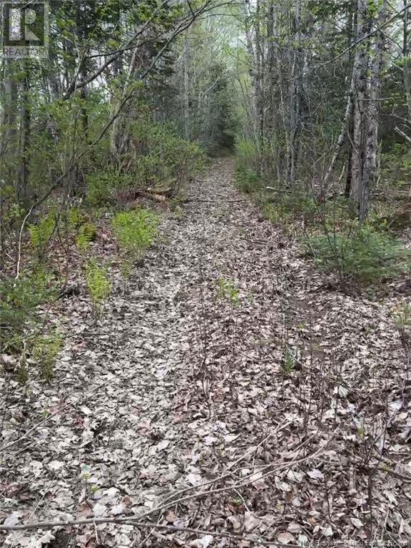 Photo 5 of 14 Acres Islandview Drive, Miramichi NB