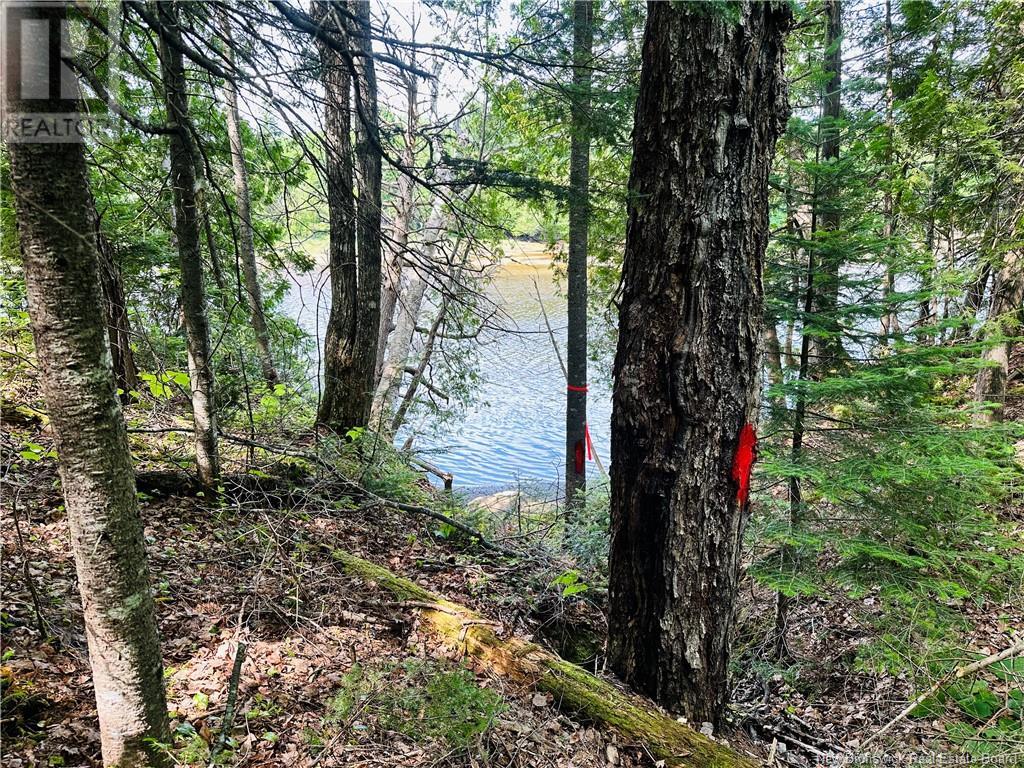559 BAY DU VIN RIVER ROAD - Image 29