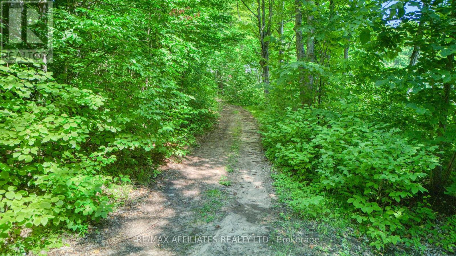Photo 28 of 163 A Brash Lane, Frontenac ON