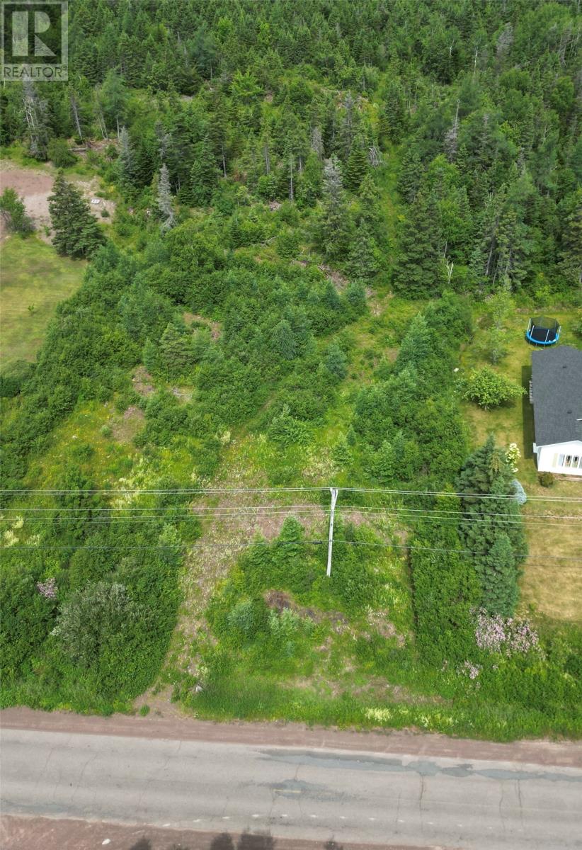 Photo 4 of 437 Main Street, Northern Arm NL
