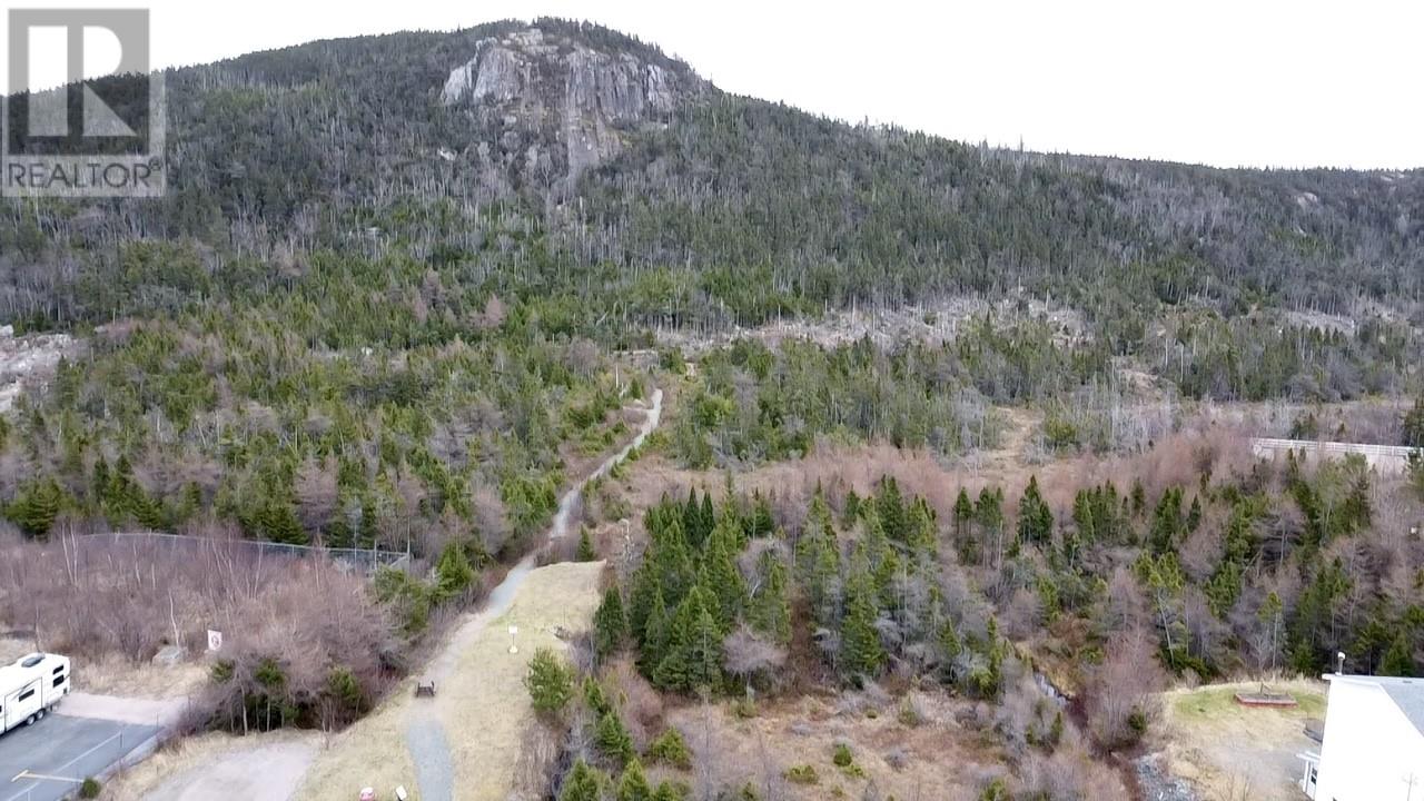 Photo 6 of 107 A Conception Bay Highway, Holyrood NL