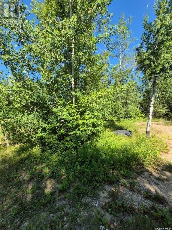 Photo 5 of Lot 133 Birchwood Avenue, Canwood Rm No 494 SK