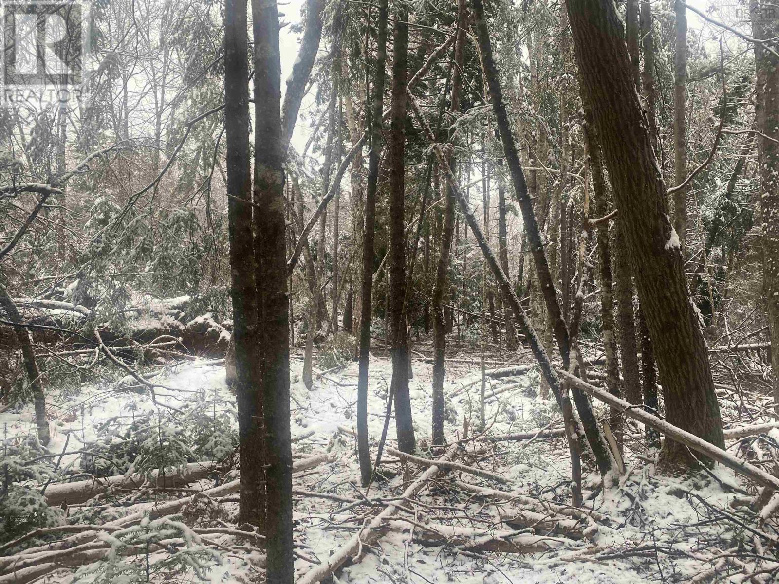 Property 4 of 5 of Lot 9 Highway 357