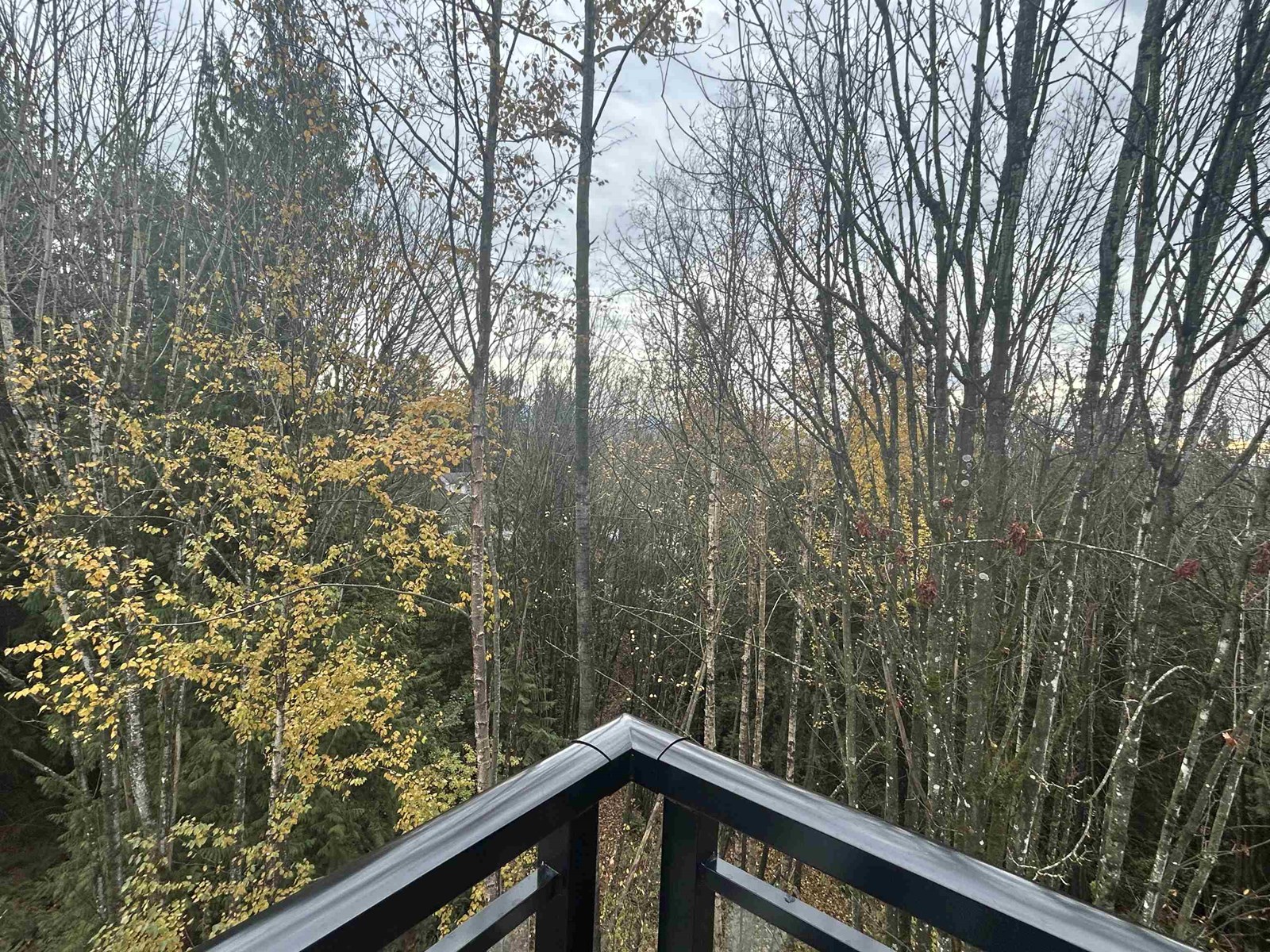 Photo 11 of 406 32690 14th Avenue, Mission BC