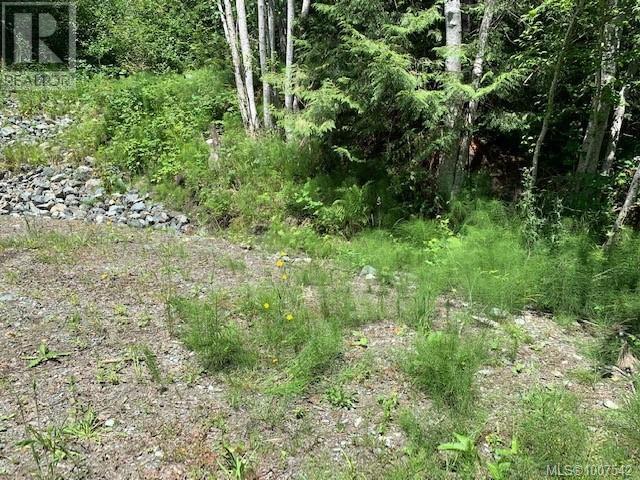 View of undeveloped land