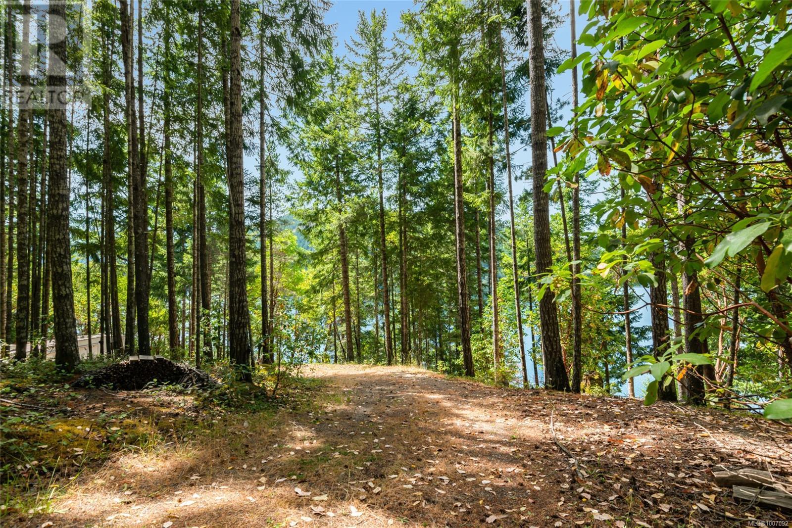 Photo 11 of 3696 Horne Lake Caves Rd, Qualicum Beach BC