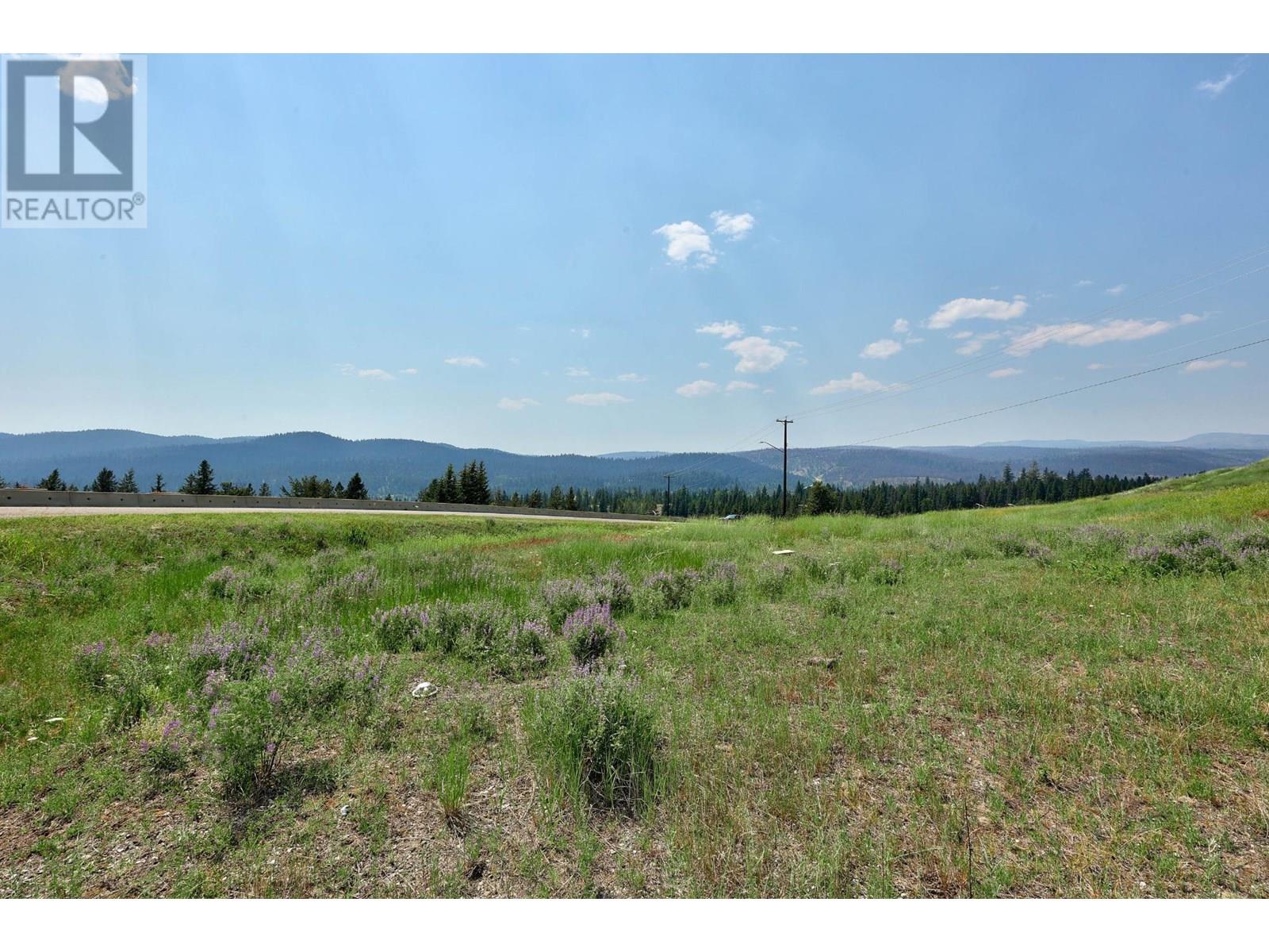 Photo 5 of 73 Ard Righ Road, Logan Lake BC