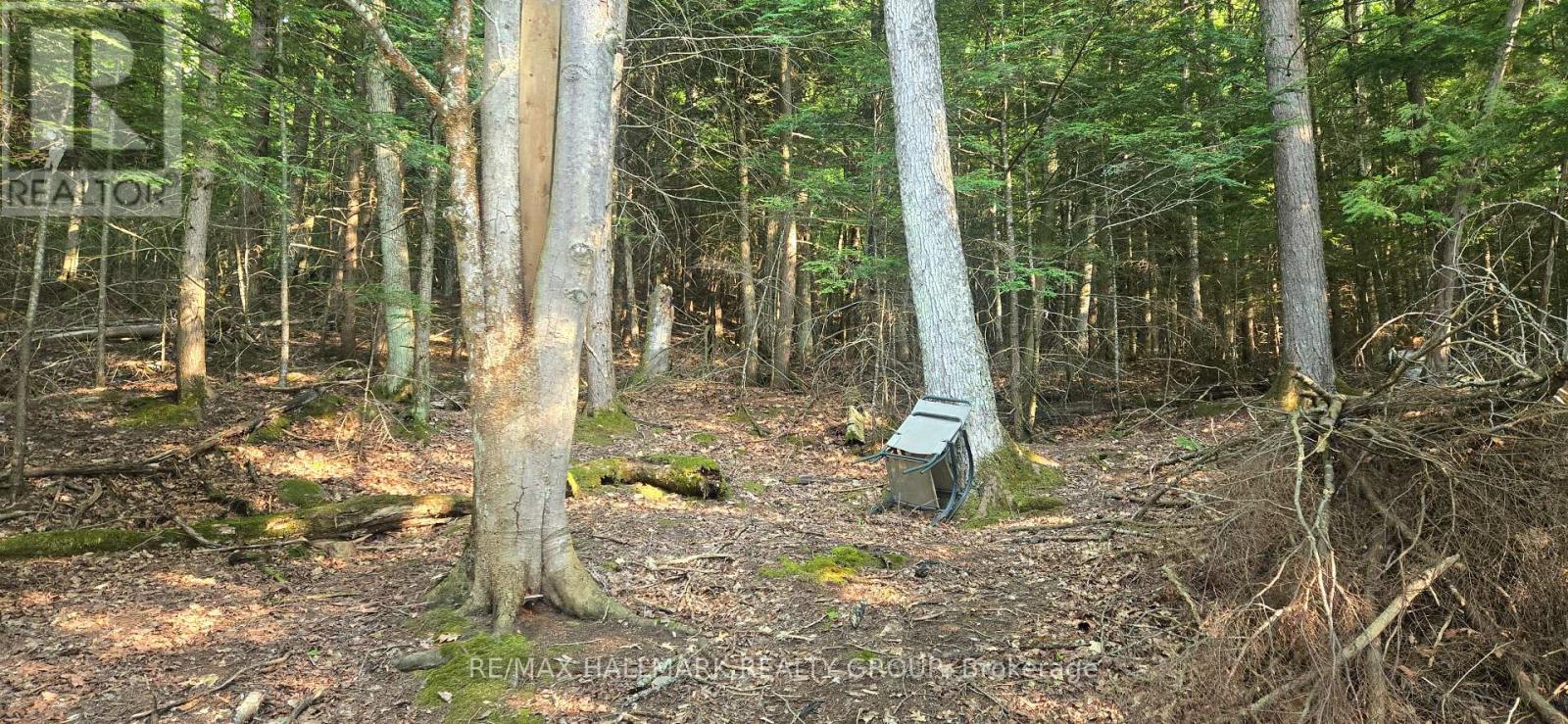 Photo 4 of 0 Madawaska River, Mcnab Braeside ON