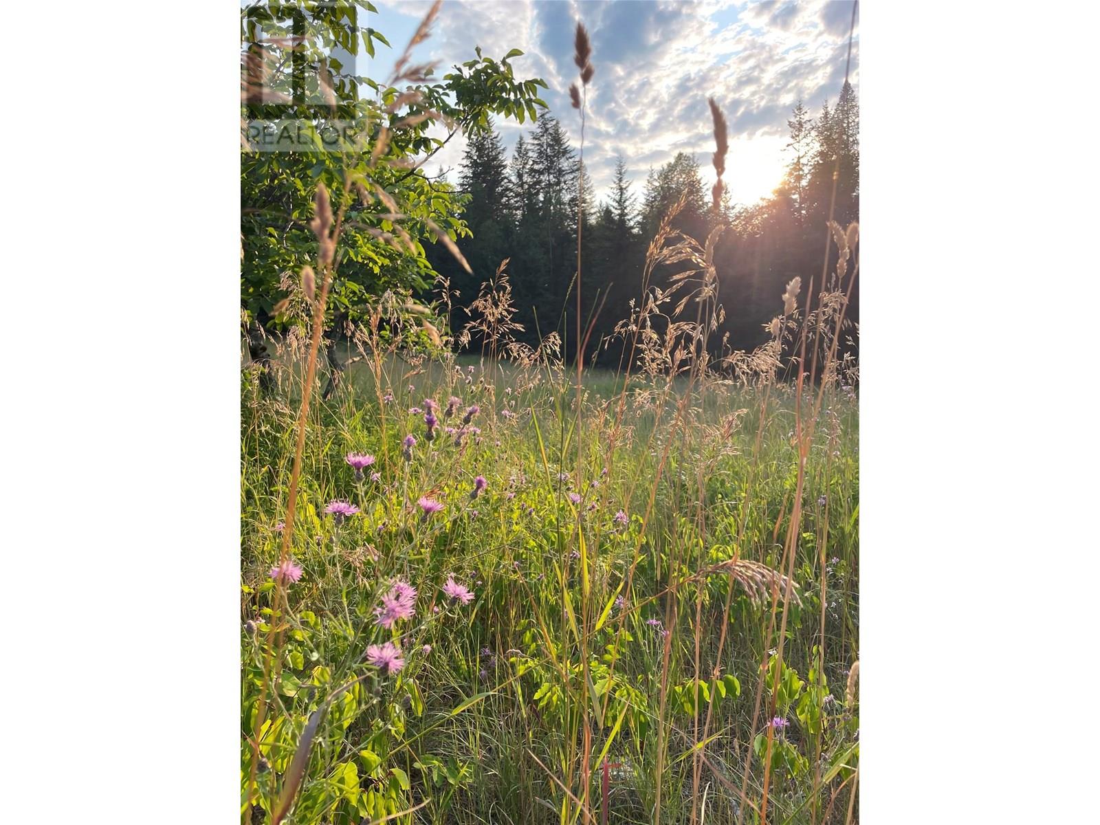 Photo 45 of 4020 Kays Road, Nelson BC