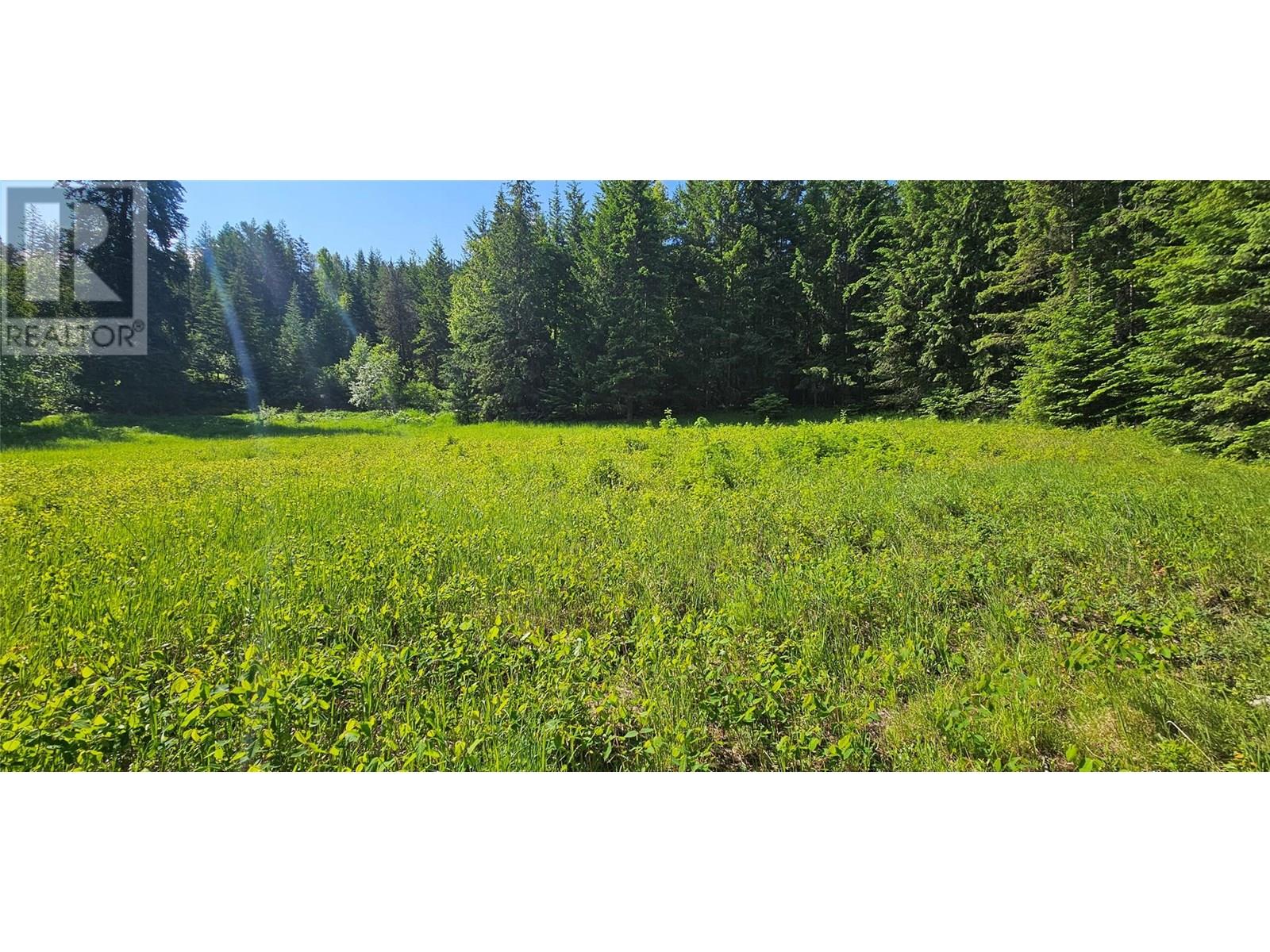 Photo 7 of 4020 Kays Road, Nelson BC