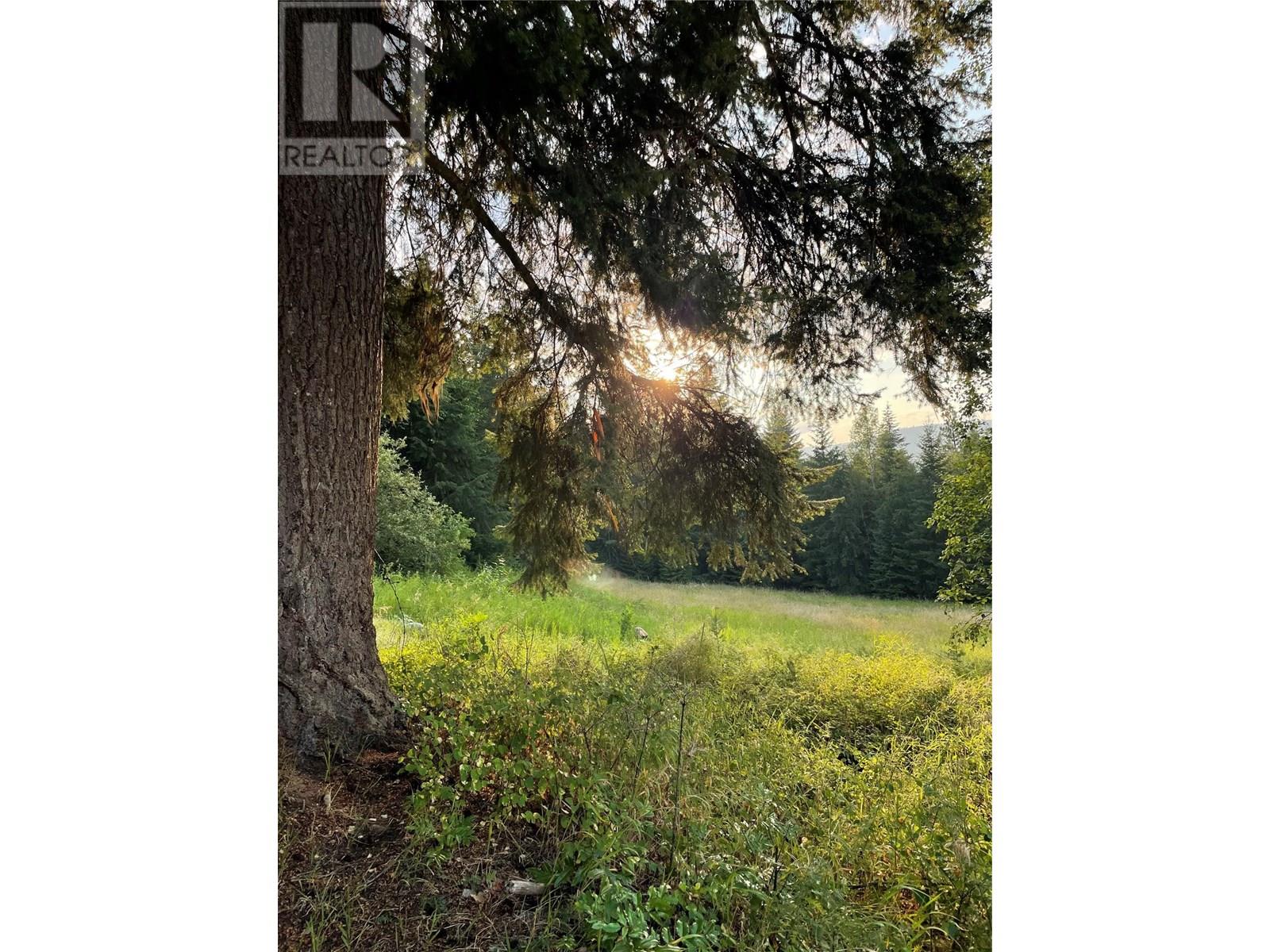 Photo 46 of 4020 Kays Road, Nelson BC