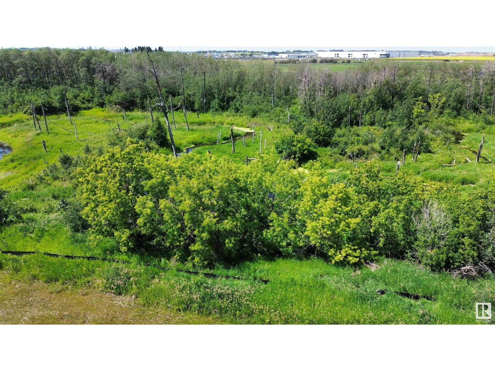 Photo 5 of 5946 14 St, Rural Leduc County AB