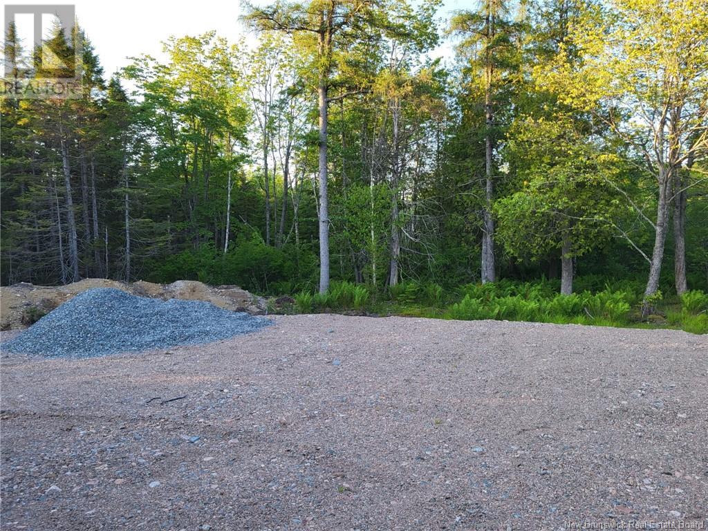 Photo 2 of Vacant Route 790, Musquash NB