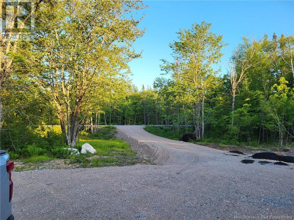 Photo 3 of Vacant Route 790, Musquash NB