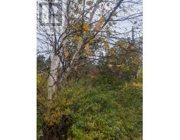 6-10 Parsons Place thumbnail 2