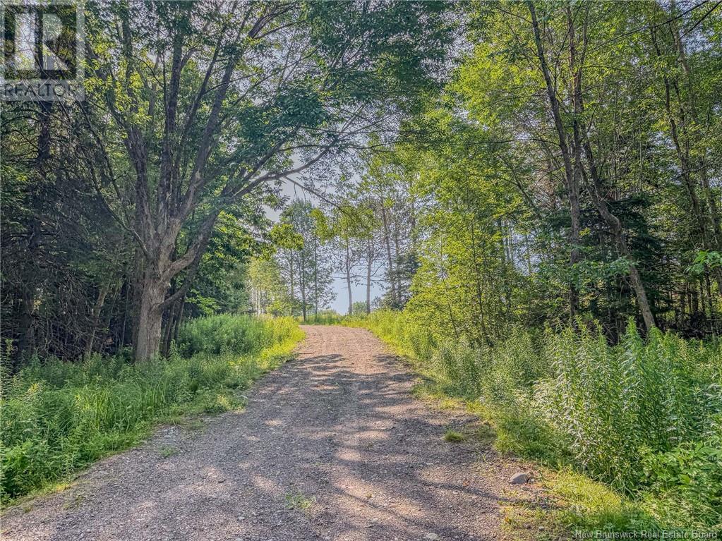 Photo 21 of Land Darlings Island Road, Nauwigewauk NB