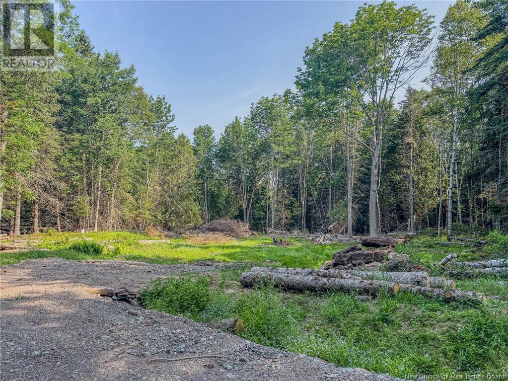 Photo 20 of Land Darlings Island Road, Nauwigewauk NB