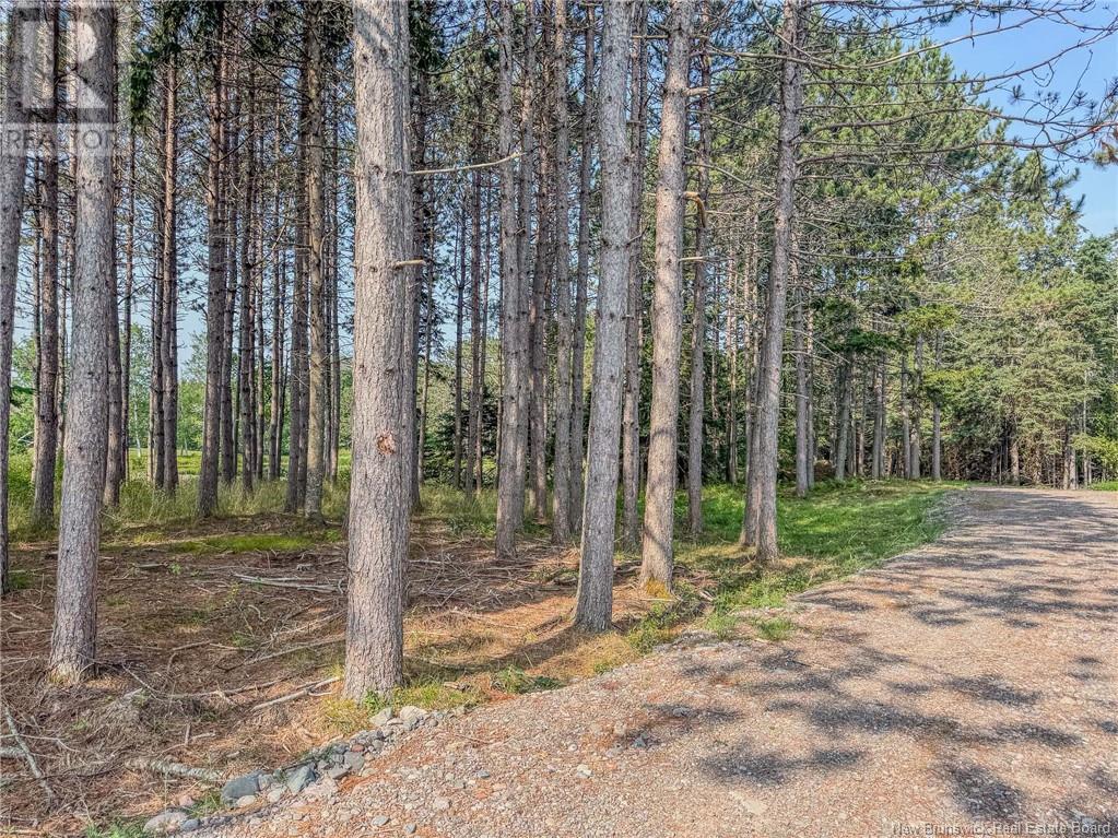 Photo 25 of Land Darlings Island Road, Nauwigewauk NB