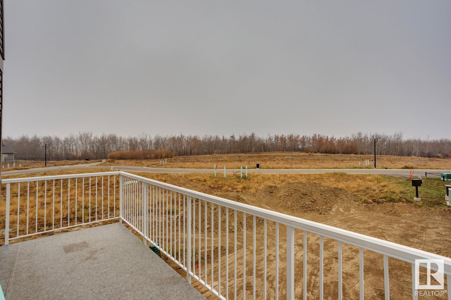 Photo 16 of 75 13139 205 St Nw, Edmonton AB