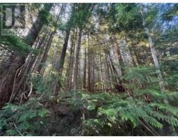 Lots A&b Granite Bay Rd, Quadra Island, BC V0P1N0 Photo 25