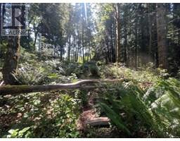 Lots A&b Granite Bay Rd, Quadra Island, BC V0P1N0 Photo 27