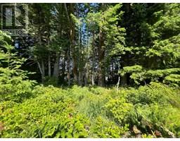Lots A&b Granite Bay Rd, Quadra Island, BC V0P1N0 Photo 30