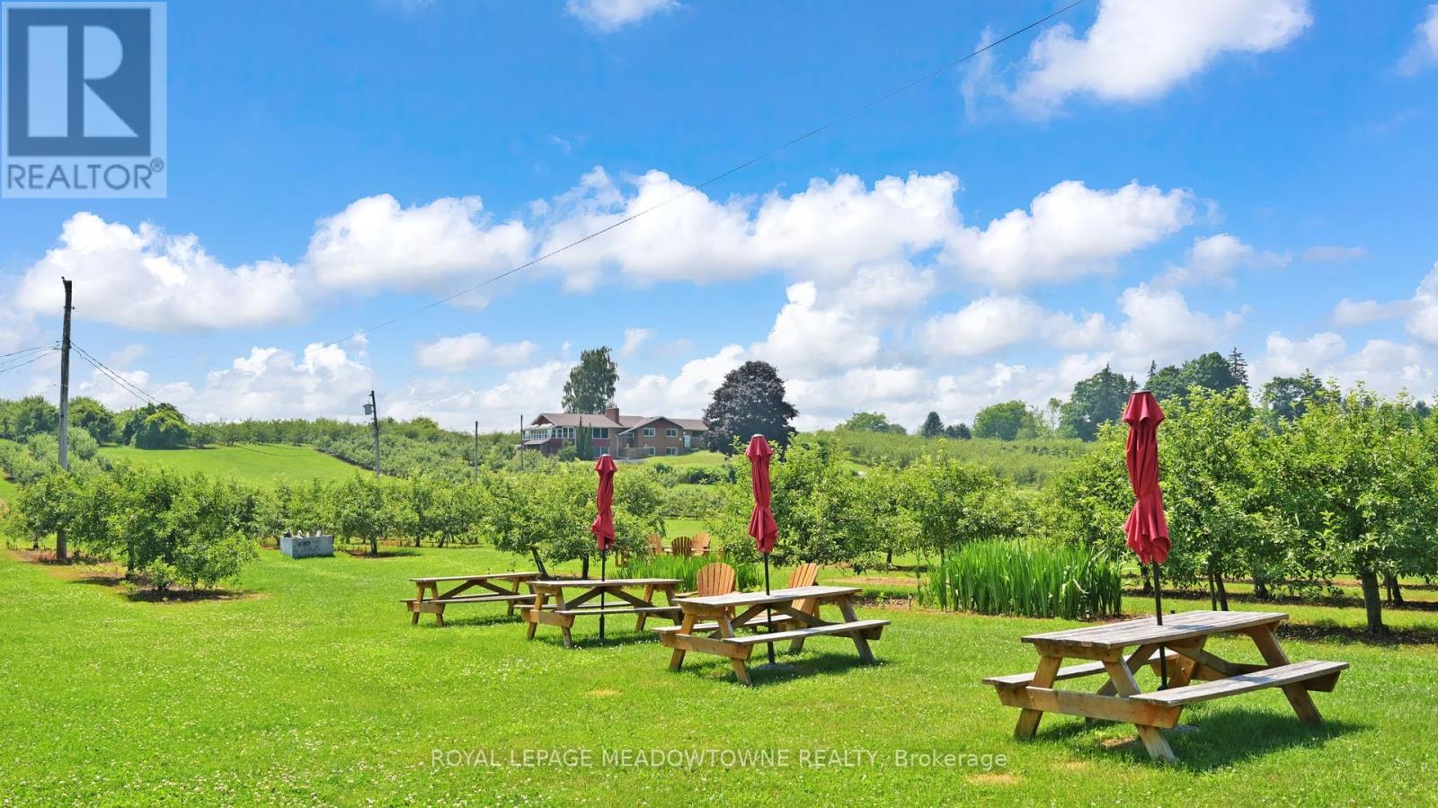 Photo 4 of 1453 Milburough Line, Hamilton ON