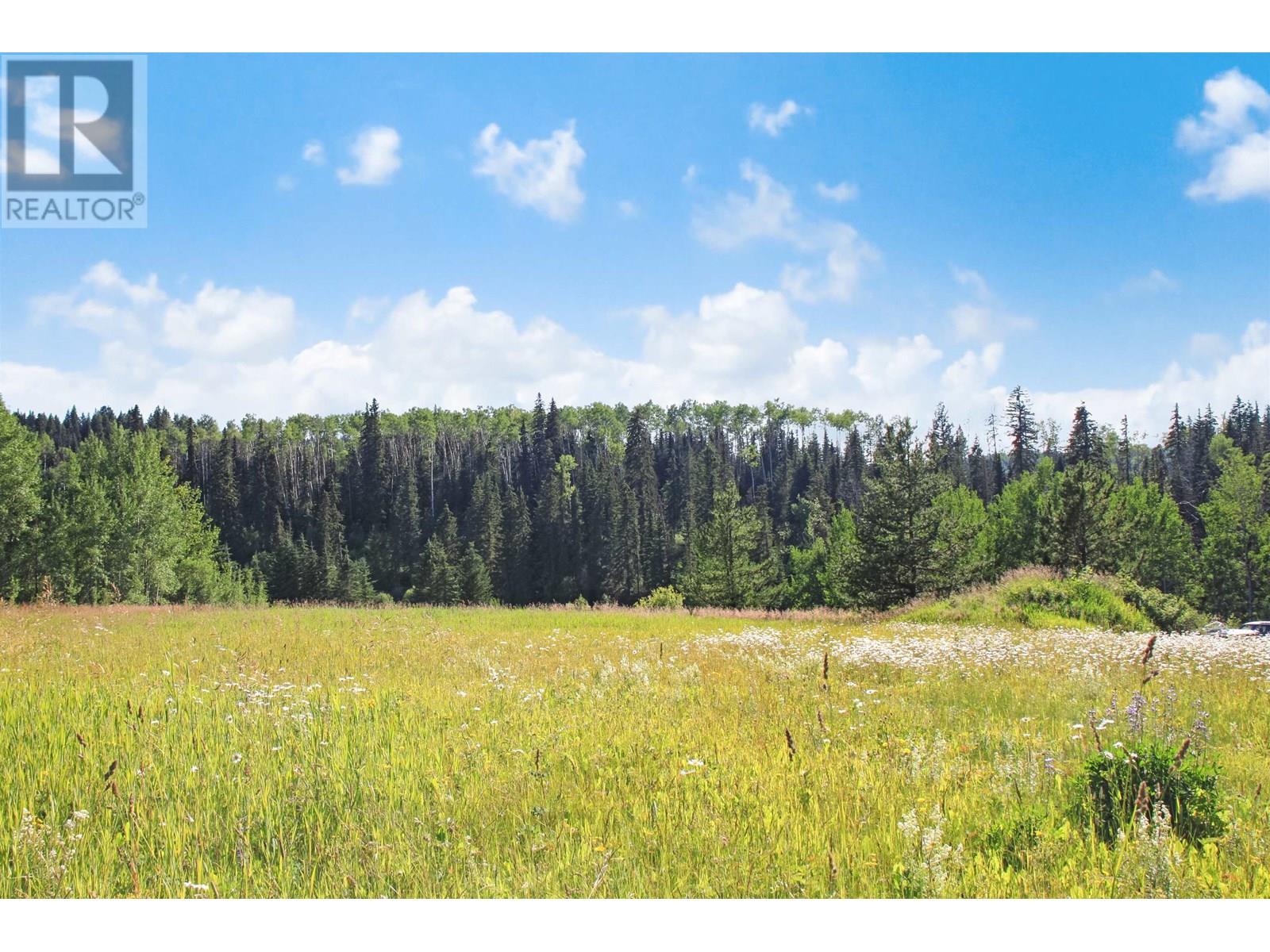 8245 BRIDGE LAKE NORTH ROAD - 11