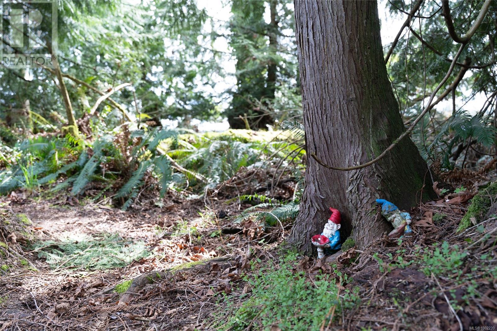 10741 Chemainus Rd, Ladysmith